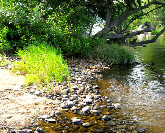 Merced River Restoration