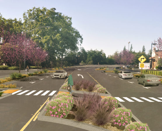 Callander Avenue Complete Streets Feasibility Study