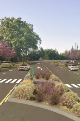 Callander Avenue Complete Streets Feasibility Study thumb