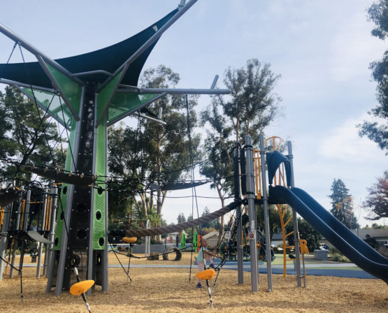 Big Trees Park Playground